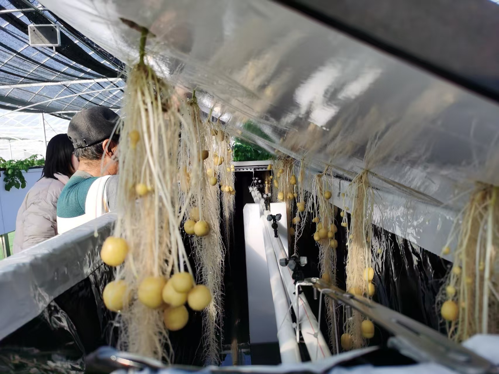 �����������ǻ�������������������