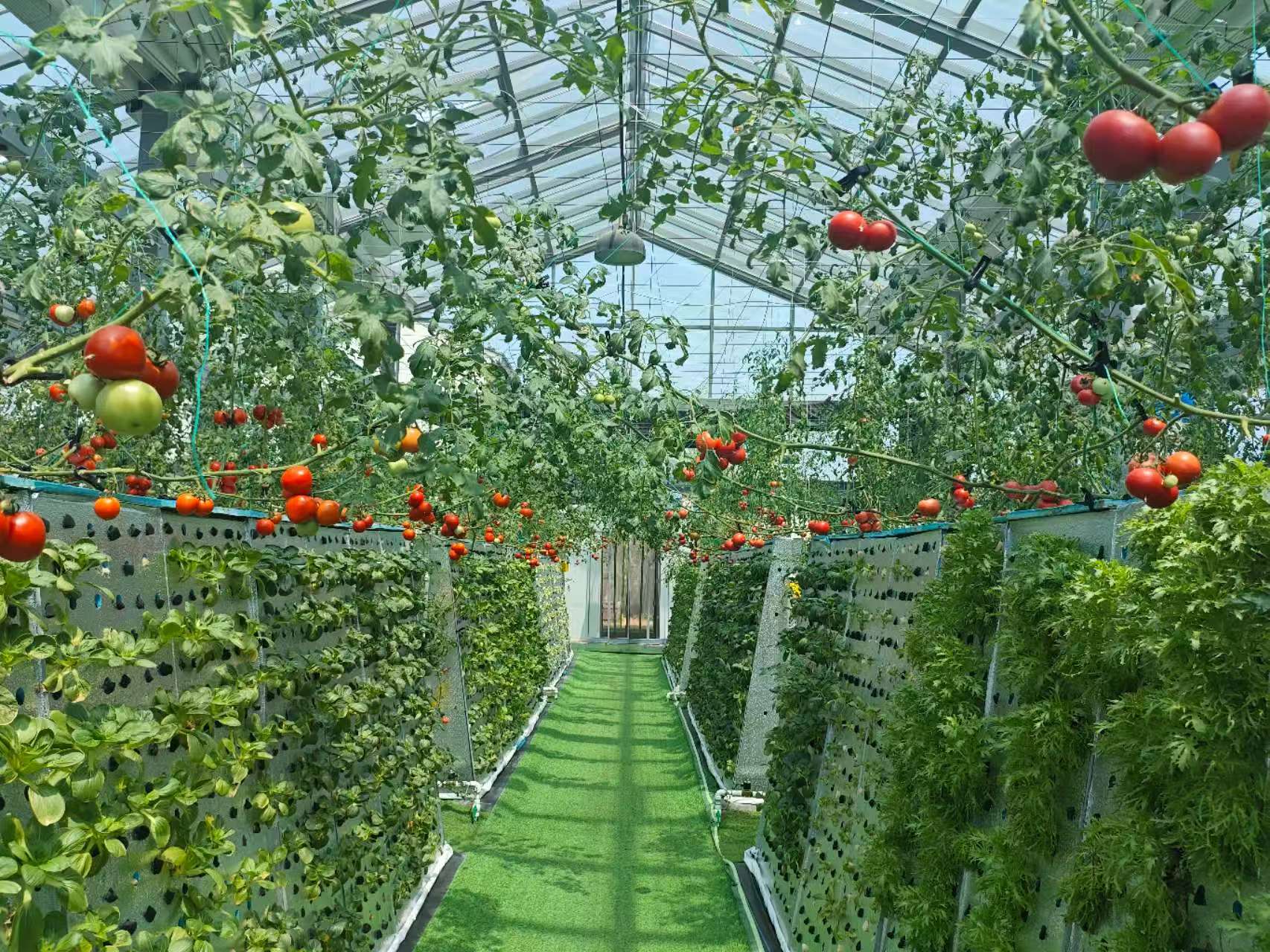 ������������˫�ֻ����ǻ���ũҵ��ʩ����